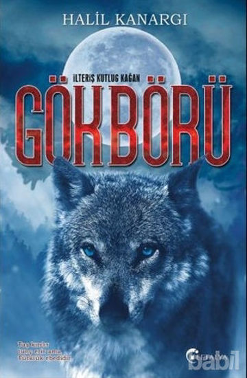 Picture of Gökbörü