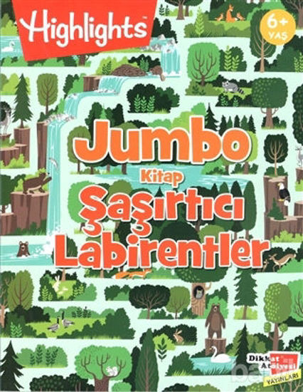 Picture of Highlights: Jumbo Kitap Şaşırtıcı Labirentler