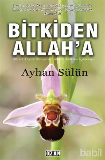 Picture of Bitkiden Allah'a