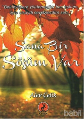 Picture of Sana Bir Sözüm Var