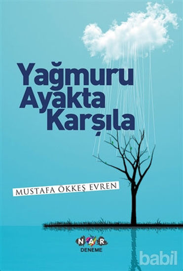 Picture of Yağmuru Ayakta Karşıla