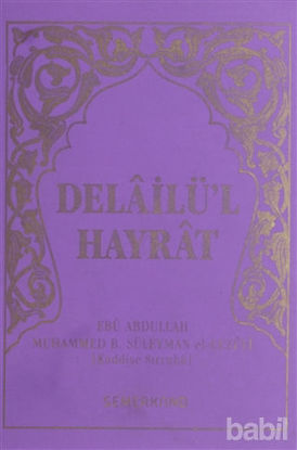 Picture of Delailü'l Hayrat (Çanta Boy Mor Kapak)