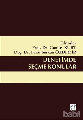 Picture of Denetimde Seçme Konular