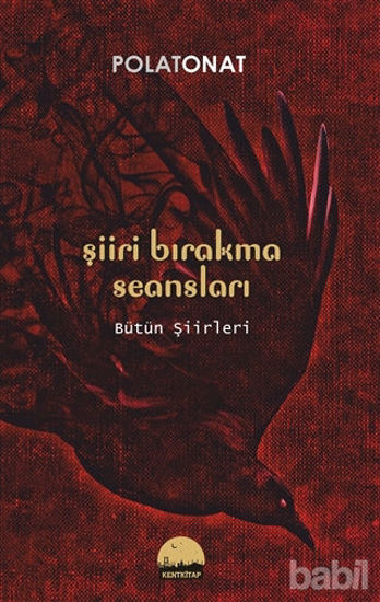 Picture of Şiiri Bırakma Seansları