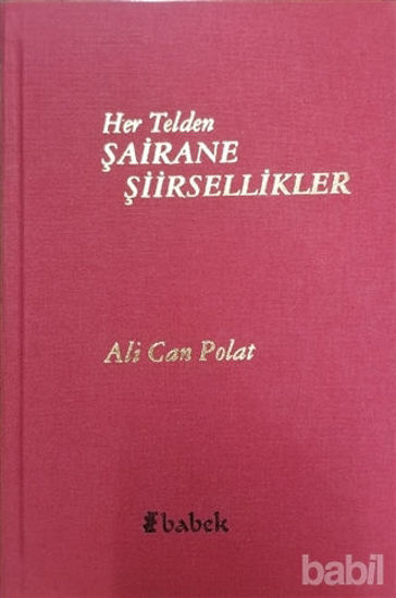 Picture of Her Telden Şairane Şiirsellikler