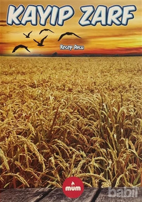 Picture of Kayıp Zarf