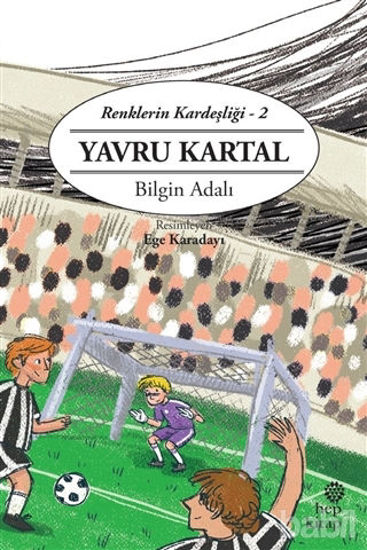 Picture of Yavru Kartal - Renklerin Kardeşliği - 2