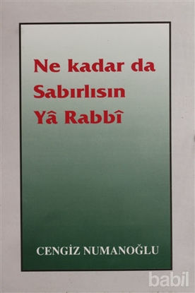 Picture of Ne Kadar da Sabırlısın Ya Rabbi