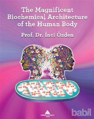 Picture of The Magnificent Biochemical Architecture of the Human Body