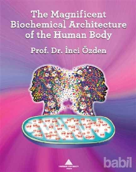 Picture of The Magnificent Biochemical Architecture of the Human Body
