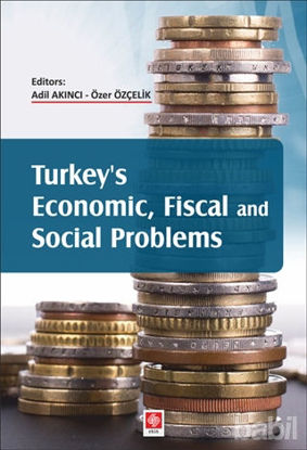Picture of Turkey's Economic, Fiscal and Social Problems