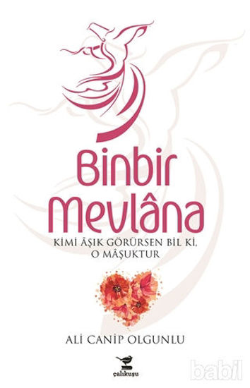 Picture of Binbir Mevlana