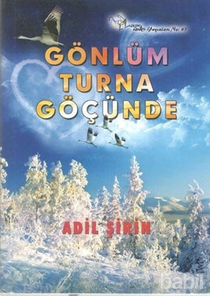 Picture of Gönlüm Turna Göçünde