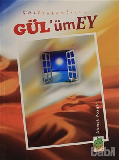 Picture of Gül'üm Ey