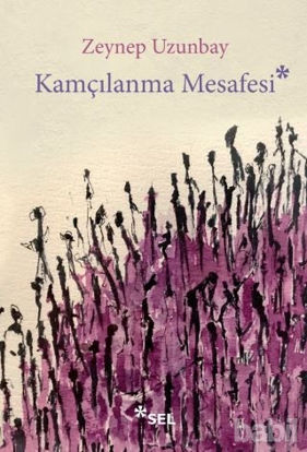 Picture of Kamçılanma Mesafesi