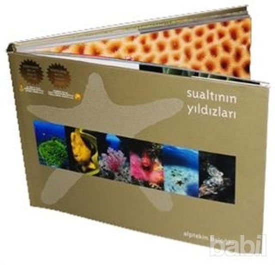 Picture of Sualtının Yıldızları