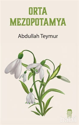 Picture of Orta Mezopotamya