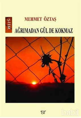 Picture of Ağrımadan Gül De Kokmaz