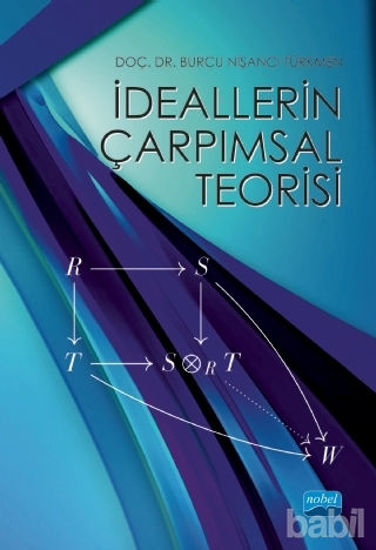 Picture of İdeallerin Çarpımsal Teorisi