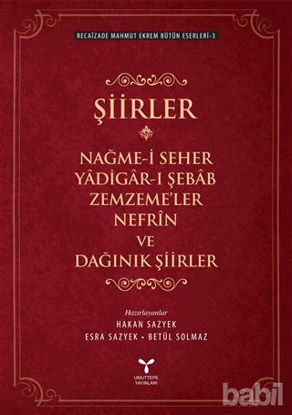 Picture of Şiirler