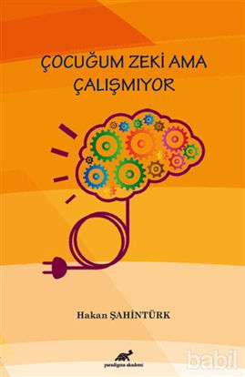 Picture of Çocuğum Zeki Ama Çalışmıyor