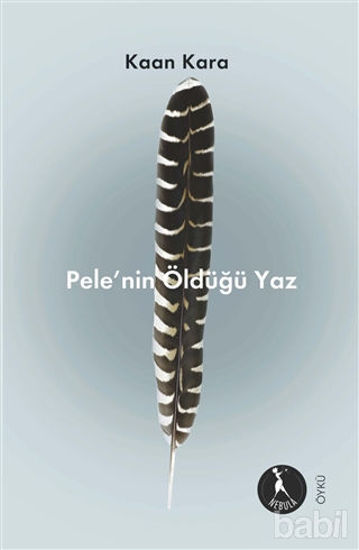 Picture of Pele’nin Öldüğü Yaz