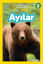 Picture of Ayılar - National Geographic Kids