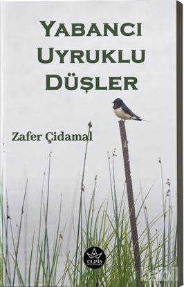 Picture of Yabancı Uyruklu Düşler