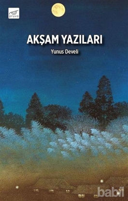 Picture of Akşam Yazıları