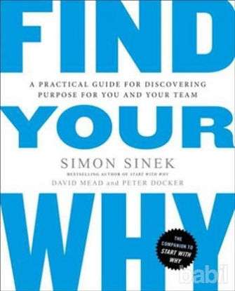 Picture of Find Your Why: A Practical Guide for Discovering Purpose for You and Your Team