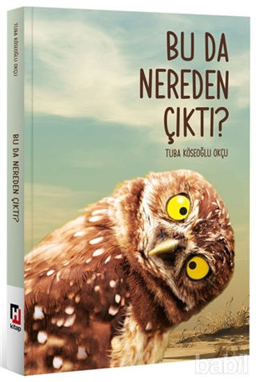 Picture of Bu Da Nereden Çıktı?