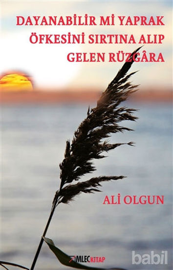 Picture of Dayanabilir mi Yaprak Öfkesini Sırtına Alıp Gelen Rüzgara