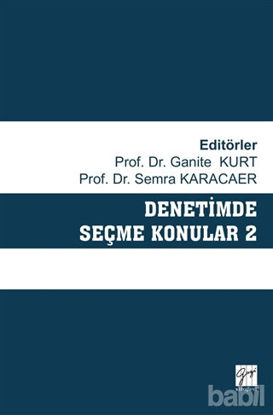 Picture of Denetimde Seçme Konular 2