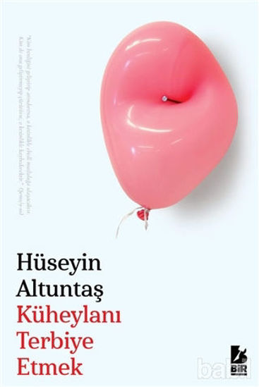 Picture of Küheylanı Terbiye Etmek