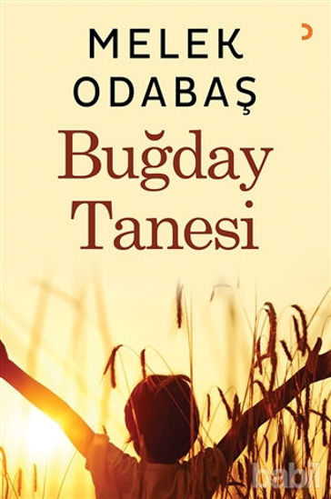 Picture of Buğday Tanesi