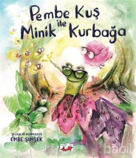 Picture of Pembe Kuş ile Minik Kurbağa