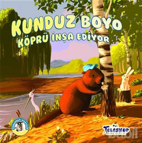 Picture of Kunduz Boyo Köprü İnşa Ediyor - Ormandan Hikayeler