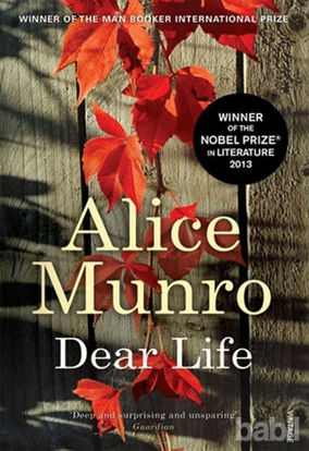 Picture of Dear Life