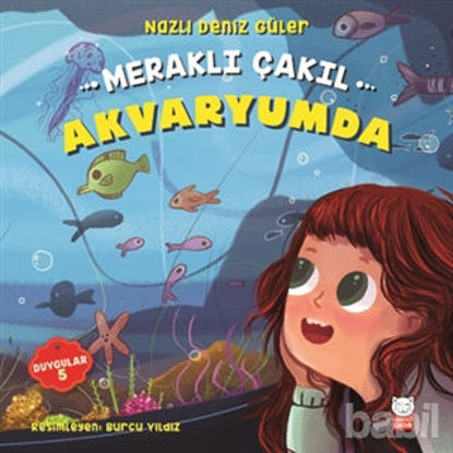 Picture of Meraklı Çakıl Akvaryumda