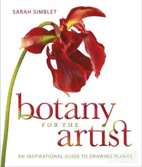 Picture of Botany for the Artist