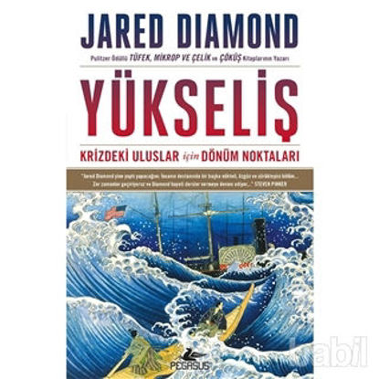 Picture of Yükseliş: Krizdeki Uluslar İçin Dönüm Noktaları