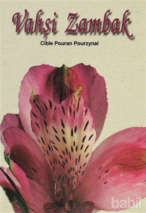 Picture of Vahşi Zambak