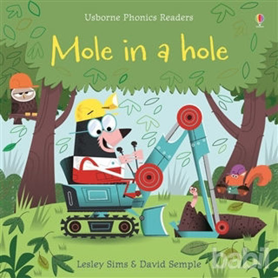 Picture of Mole in a Hole