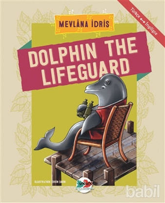 Picture of Dolphin The Lifeguard