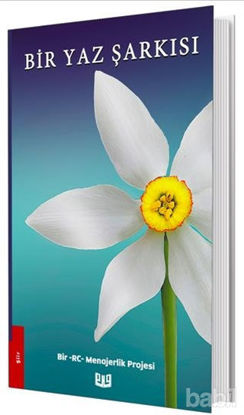 Picture of Bir Yaz Şarkısı