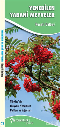 Picture of Yenebilen Yabani Meyveler