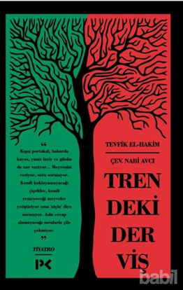 Picture of Trendeki Derviş