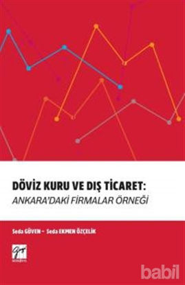 Picture of Döviz Kuru ve Dış Ticaret: Ankara'daki Firmalar Örneği