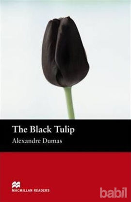 Picture of The Black Tulip Stage 2