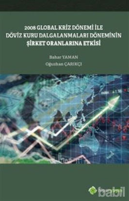 Picture of 2008 Global Kriz Dönemi ile Döviz Kuru Dalgalanmaları Döneminin Şirket Oranlarına Etkisi